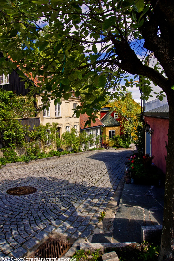Quartier de Gernukolla - montée de petites maisons colorées